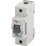 Автоматический выключатель ЭРА PRO NO-902-261 ВА47-100 1Р 25А 10 кА кривая С Автоматический выключатель ЭРА PRO NO-902-261 ВА47-100 1Р 25А 10 кА кривая С