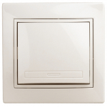 Выключатель Intro Plano 1-101-02 одноклавишный, 10А-250В, IP20, СУ, слоновая кость Выключатель Intro Plano 1-101-02 одноклавишный, 10А-250В, IP20, СУ, слоновая кость