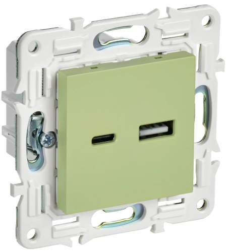 SKANDY Роз. USB A+C 3,1А SK-R14M мятн. IEK