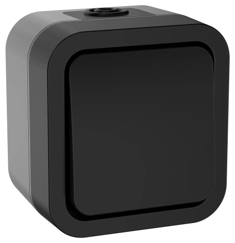 TORS Выключ. двухполюсный однокл. 10А IP55 TS111 графит IEK