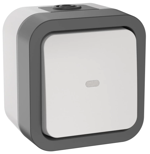 TORS Переключатель однокл. с ин. 10А IP55 TS202 белый IEK