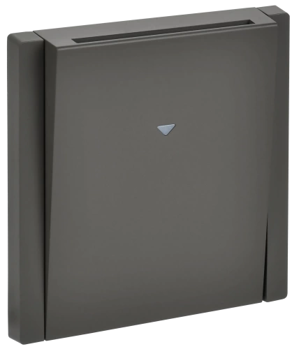 FORTE&PIANO Выключ. карточный 30А FP343 сер. IEK FORTE&PIANO Выключ. карточный 30А FP343 сер. IEK