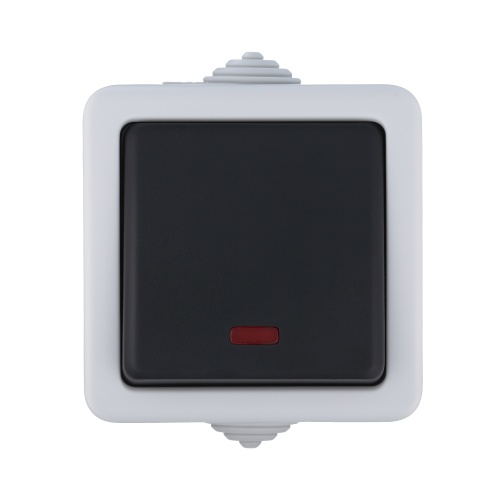 EF600SW Переключатель одноклавишный с 2 мест с индикатором (сх.6L),10A (сер.)