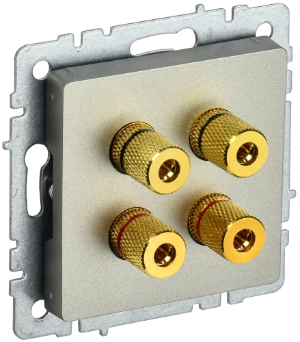 BRITE Аудиорозетка 4-мест. РА10-БрШ шамп. IEK BRITE Аудиорозетка 4-мест. РА10-БрШ шамп. IEK