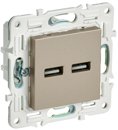 SKANDY Роз. USB A+A 3,1А SK-R15Sh шамп. IEK SKANDY Роз. USB A+A 3,1А SK-R15Sh шамп. IEK