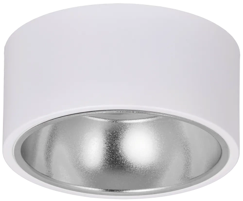 Светильник 4017 накл. потолочн. GX53 белый/хром IEK