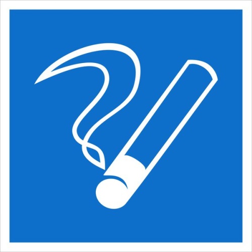 Наклейка D03 "Место курения" (200х200) EKF PROxima Наклейка D03 "Место курения" (200х200) EKF PROxima