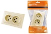 Розетка двойная 2П 10А 250В сл. кость "Таймыр" TDM