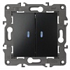 14-1105-05 Эл/ус ЭРА Выключатель двойной с подсветкой, 10АХ-250В, IP20, Эра Elegance, антрацит