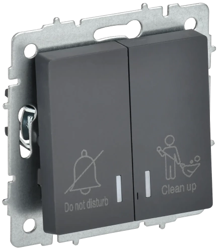 BRITE Выключ. 2-кл. с инд. отел. 10А ВС10-2-9-БрГ граф. IEK