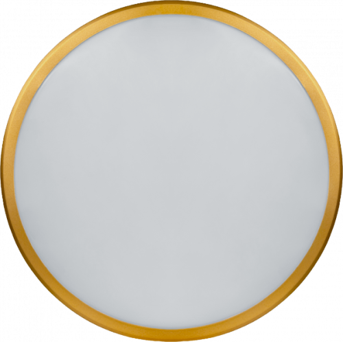 Светильник Navigator 80 500 NLF-C-014-02 Настенно-потолочный светильник Светильник Navigator 80 500 NLF-C-014-02 Настенно-потолочный светильник