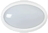 Светильник LED ДПО 5040 12Вт 4000K IP65 овал белый IEK