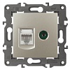 14-3110-04 Эл/ус ЭРА Розетка RJ45+TV, IP20, шампань