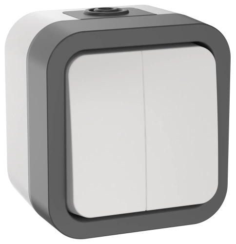 TORS Выключатель двухклавишный 10А IP55 TS205 белый IEK