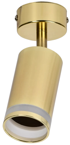 Светильник 4006 настенно-потолочн. GU10 золото IEK