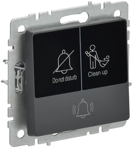 BRITE Кнопка звонка с инд. отел. 10А ВС10-1-9-БрГ граф. IEK BRITE Кнопка звонка с инд. отел. 10А ВС10-1-9-БрГ граф. IEK