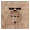 1-410-11  Intro Розетка+USB, IP20, СУ,Plano, сосна