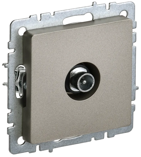 BRITE Роз. TV проходная РТВ10-0-БрШ шамп. IEK