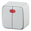 3-105-01 Эл/ус Intro Выключатель двойной с подсветкой, 10А-250В, IP20, ОУ, Polo, белый