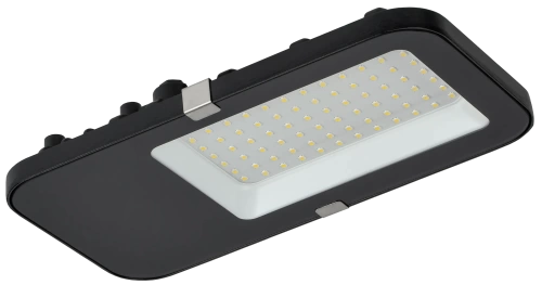 Светильник LED консольный ДКУ 4002 60Д 5000К IP65 GENERICA