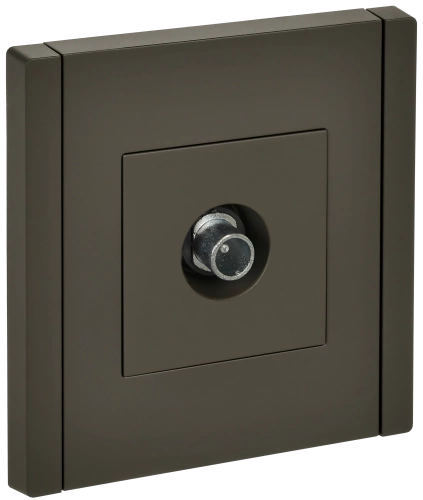 FORTE&PIANO Роз. TV проходная FP329 сер. IEK