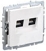 BRITE Роз. комп. 2-ая RJ45 кат.5E РК10-2-БрБ бел. IEK