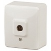 11-3201-02 Эл/ус ЭРА Розетка TV одиночная, ОУ, IP20, Эра Эксперт, сл.кость