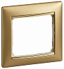 Рамка 1п мат золото VLN