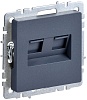 BRITE Роз. комп. 2-ая RJ45 кат.5E РК10-2-БрМ мар. IEK