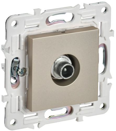 SKANDY Роз. TV проходная SK-A17Sh шамп. IEK