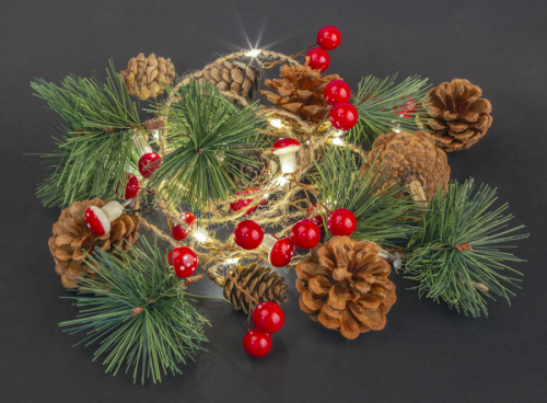 Гирлянда Navigator 93 674 NGF-D024-01 (шишки 2АА) Гирлянда Navigator 93 674 NGF-D024-01 (шишки 2АА)