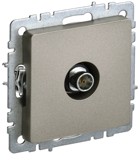 BRITE Роз. TV оконечная РТВ11-0-БрШ шамп. IEK