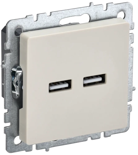 BRITE Роз. USB A+A 3,1А РЮ10-1-БрКр беж. IEK BRITE Роз. USB A+A 3,1А РЮ10-1-БрКр беж. IEK