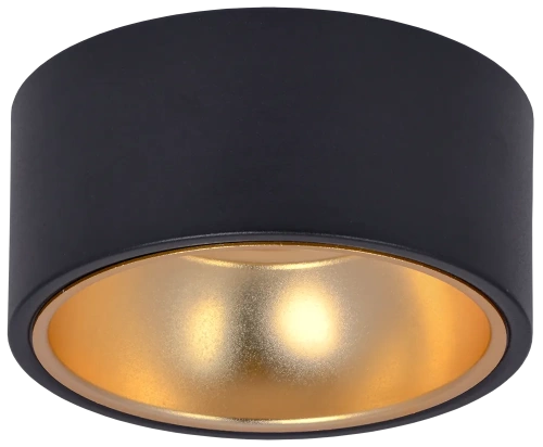 Светильник 4017 накл. потолочн. GX53 черный/золото IEK