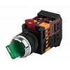 ЭРА Переключатель АNСLR-22-3  на 3 фикс.полож.зеленый неон/240В I-O 1з+1р (10/400/3200)