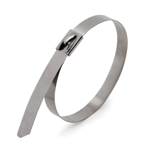 Стяжки стальные СКС X-Treme (316) 4,6х250 (Fortisflex) Стяжки стальные СКС X-Treme (316) 4,6х250 (Fortisflex)