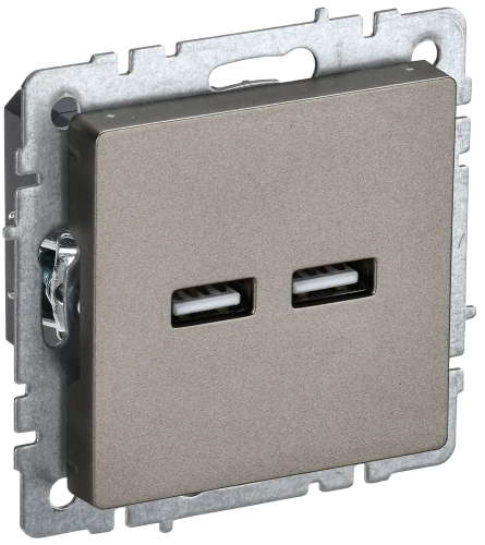 BRITE Роз. USB A+A 3,1А РЮ10-1-БрШ шамп. IEK BRITE Роз. USB A+A 3,1А РЮ10-1-БрШ шамп. IEK