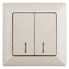 4-105-02  Intro Выключатель двойной с подсветкой, 10А-250В, СУ, Solo, сл.кость